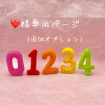 ❤️様　追加オプション