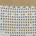 ハンドメイド 編み物 ドイリー　ビーズ入り　白鳥🦢