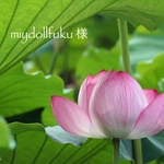 miydollfuku様専用