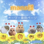 mana様専用オーダーページ グラスハーモニー450ロフトハウス