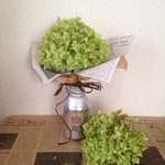 アナベルの花束M