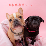 パグちゃんマグネット3個セット