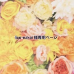 lico-nakai 様専用