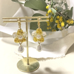 ✨✨お花のミモザ×パール✨✨