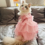 【在庫限りセール】プリンセスドレスワンピース　だんだんレース犬服　猫服　お姫様　イベント　記念日