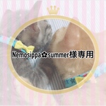❅:*.。 Nemosippa︎✿summer様専用ページ｡.*:❅