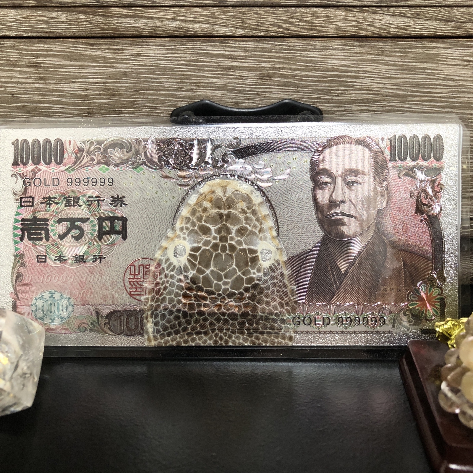 金運　白龍様　白蛇様　大蛇　守り神　厨子 金運 白龍様 白蛇様 大蛇 守り神 厨子