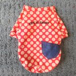 犬服！Msize！ドット！デニムポケット