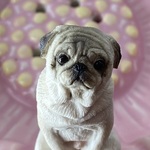 ことらや様ご依頼品Ｍさん