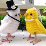 《misa124 様オーダー品》セキセイインコペア 羽衣&ルチノー