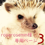 roserosemmさま専用ページ【3】