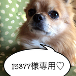 15877様専用ページ♡
