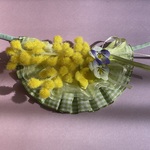 ミモザ🌼チョーカー