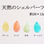【約２０×１２ｍｍ】　天然のシェルパーツ（ターコイズ）
