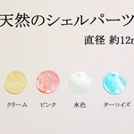 【約１２ｍｍ】　天然のシェルパーツ（ターコイズ）