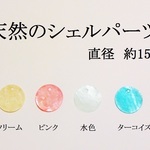 【約１５ｍｍ】　天然のシェルパーツ（水色）