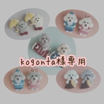 ✩kogonta様専用✩