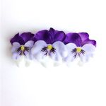【再】3 violas barrette☆M☆light purple