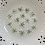 レースフラワー2 (押し花)