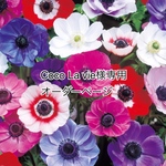 【Coco La vie様専用】オーダーページ