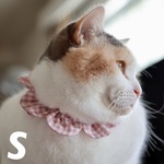 猫首輪《S》小さいギンガム グレイッシュピンク
