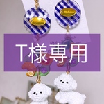 T様専用▪️ピアス1点