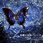 星蝶の羽根バレッタ*宇宙