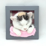 minmin様専用　お値下げ中　6500円→5800円　うとうとわんちゃん、ねこちゃんのミニフレーム　オーダーメイド　羊毛フェルト