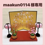maakun0114様専用