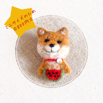 【夏の柴犬シリーズ】豆柴とスイカ