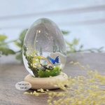✴︎Healing Garden~青きのこ~