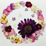 押し花素材No.228