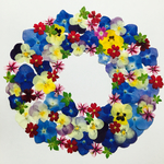 押し花素材No.231