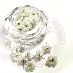 🌼《0218-①》【セール‼️】410円⇒300円＊かすみ草ドライフラワー