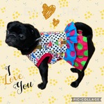 ♡ブルちゃん&ガールワンピース♪ピンク青中型犬小型犬フレブル服パグ服マックブヒマクドナルドフレンチブルドッグ中型犬小型犬ボストンテリアメッシュ