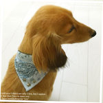 バンダナ首輪 犬用