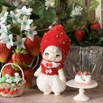 ショートケーキないちごのSET＊レッド