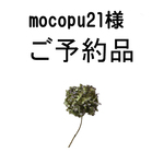 【mocopu21  様　ご予約品】▼淡いろドットのねじねじスヌード▼再×１３