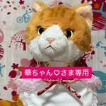 ひな祭りメイドスタイ