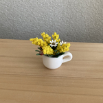 ミニチュア　ミモザ　8