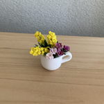 ミニチュア　ミモザ　9