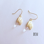 DEW〜露