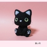 黒猫ちゃん