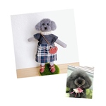 himikoinu 様専用♡おめかしわんこドール『うちの子オーダー』(mii._.wool)