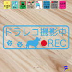 コリー ドライブレコーダー ステッカー
