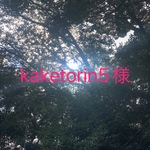 kaketorin5様専用カートです