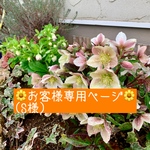 お客様専用ページ🌼🌼(S様)
