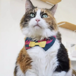『おてんばえくぼ Green』おめかし猫さんのための＊付け襟首輪