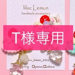 T様専用▪️ピアス1点