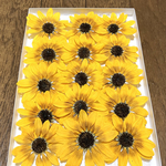 a③  macoronのお花畑で咲いたレモン色のひまわりのドライフラワーです‼️
